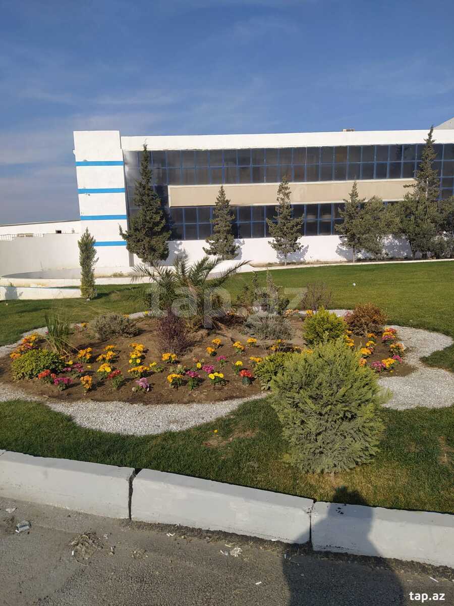 Obyekt icarəyə verilir, Qaradağ r. (2)
