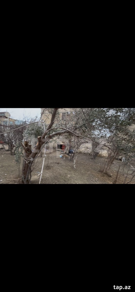 6 sot torpaq sahəsi, Qaradağ r. (15)