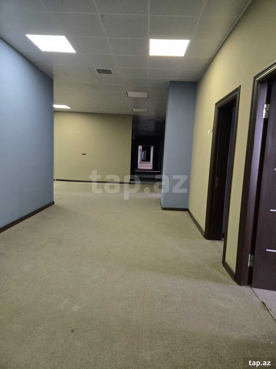 Ofis icarəyə verilir, 28 May m.