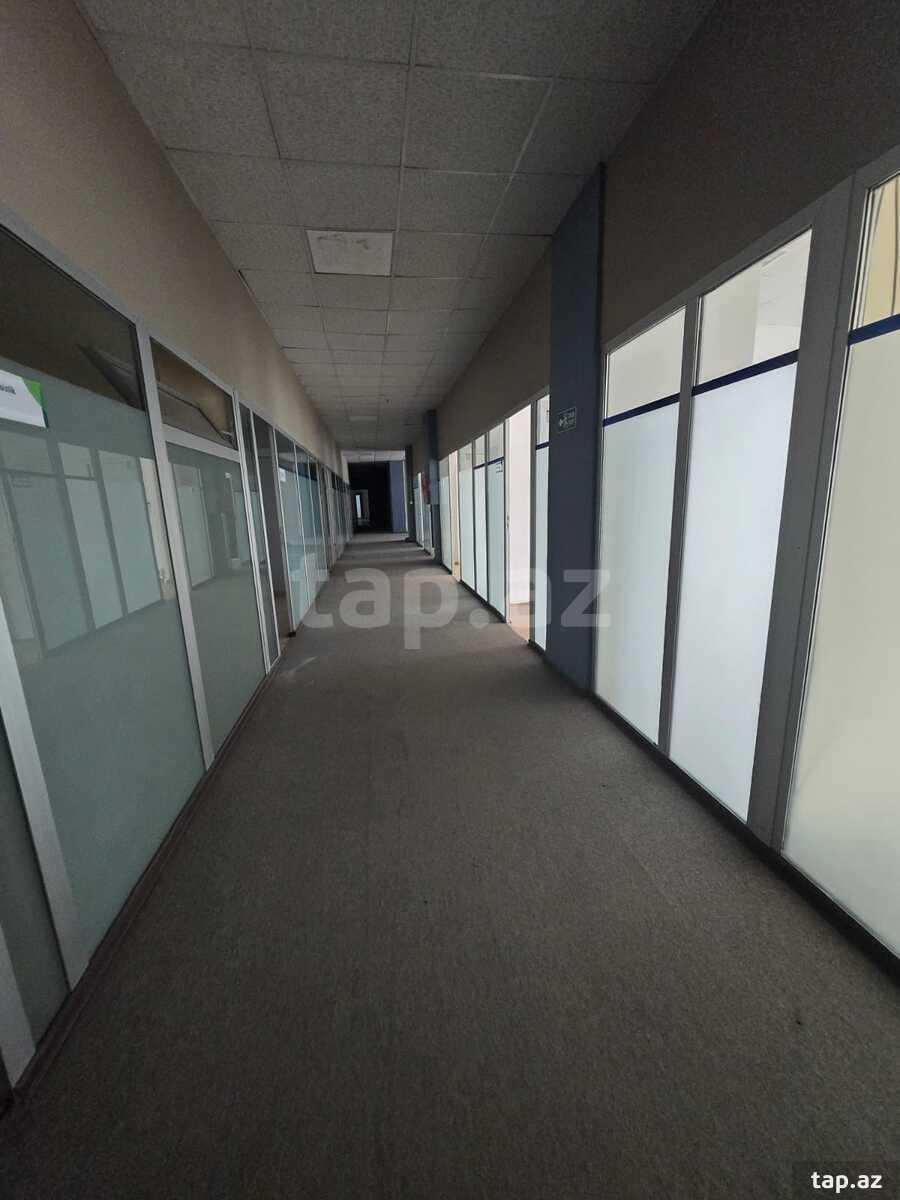 Ofis icarəyə verilir, 28 May m. (4)