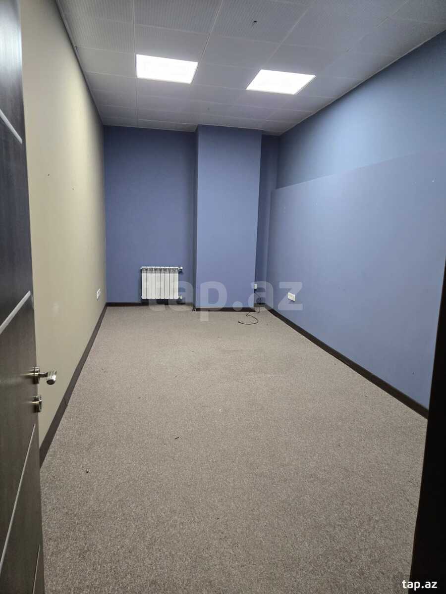 Ofis icarəyə verilir, 28 May m. (25)