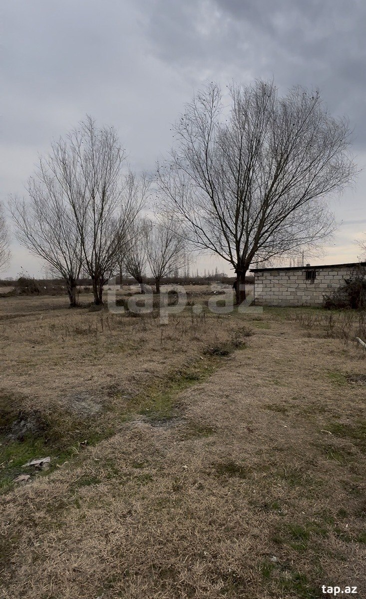 900 sot torpaq sahəsi, Ağdaş r. (3)