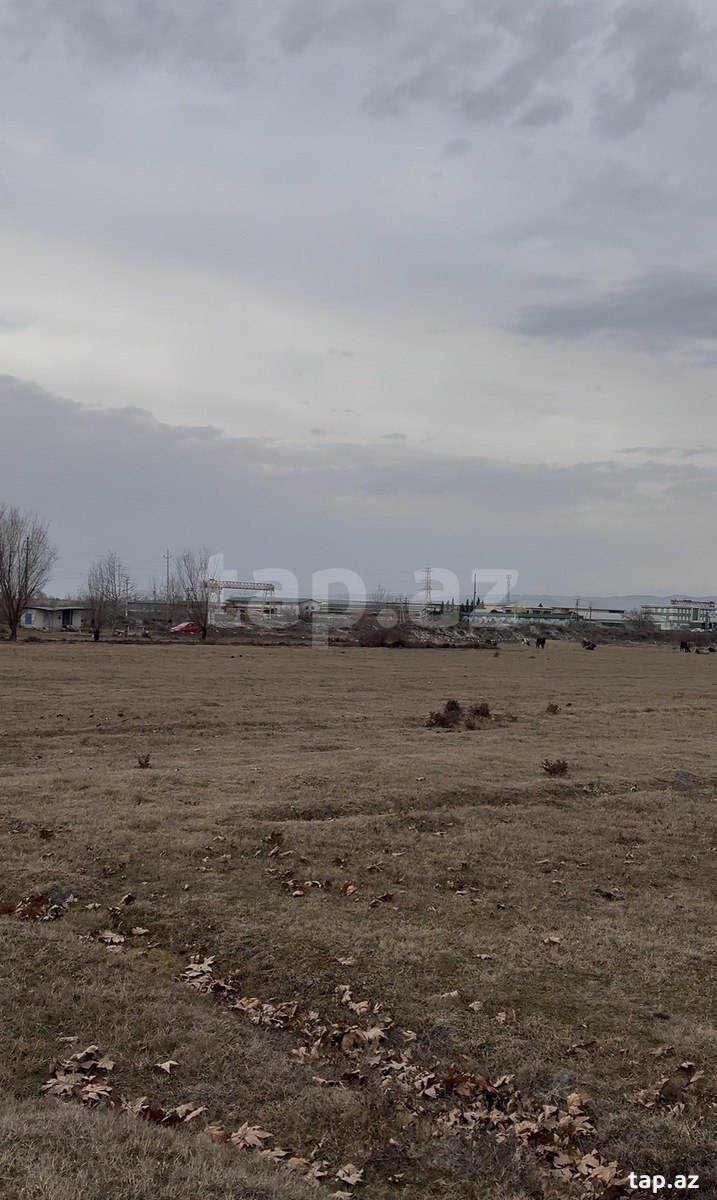 900 sot torpaq sahəsi, Ağdaş r. (8)