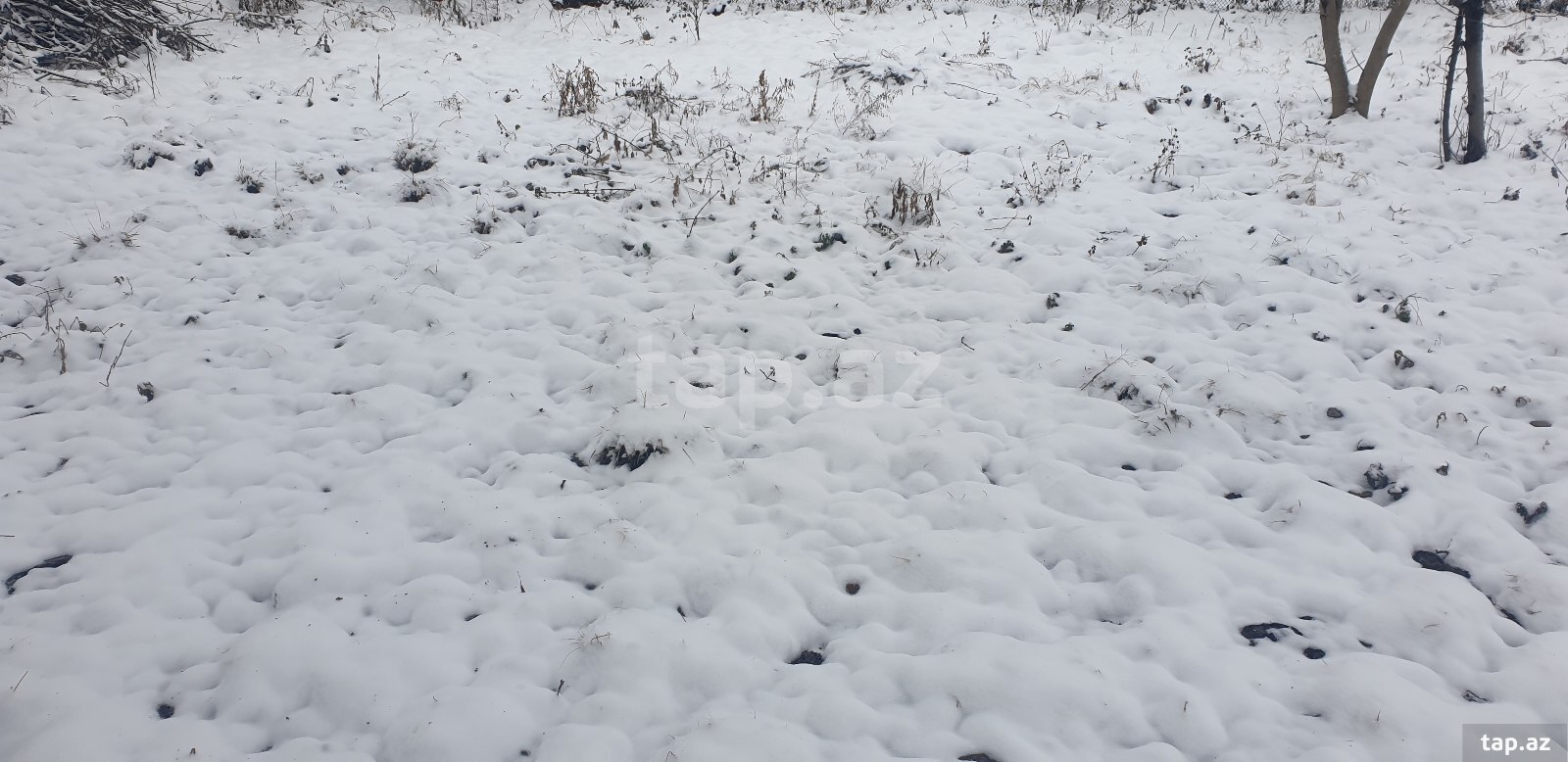 Land for sale, Guba