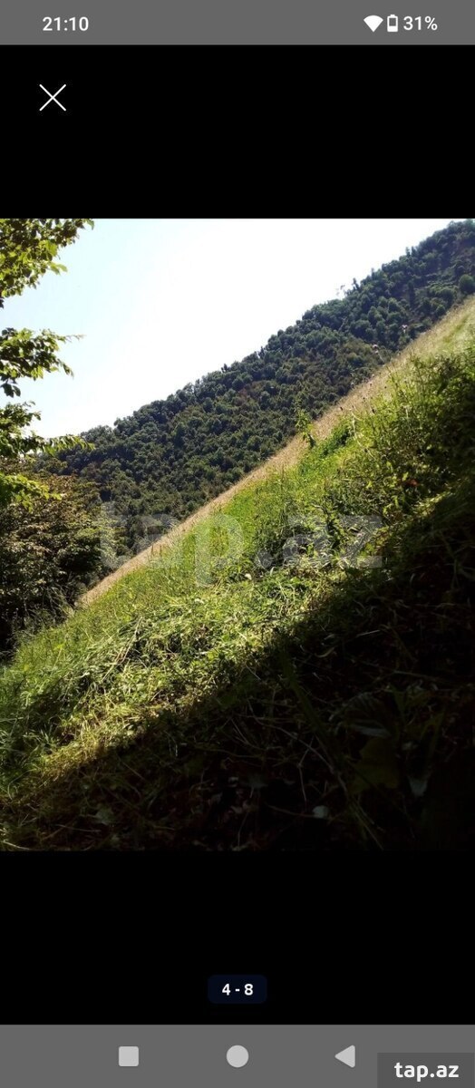 Həyət evi, Lənkəran ş.