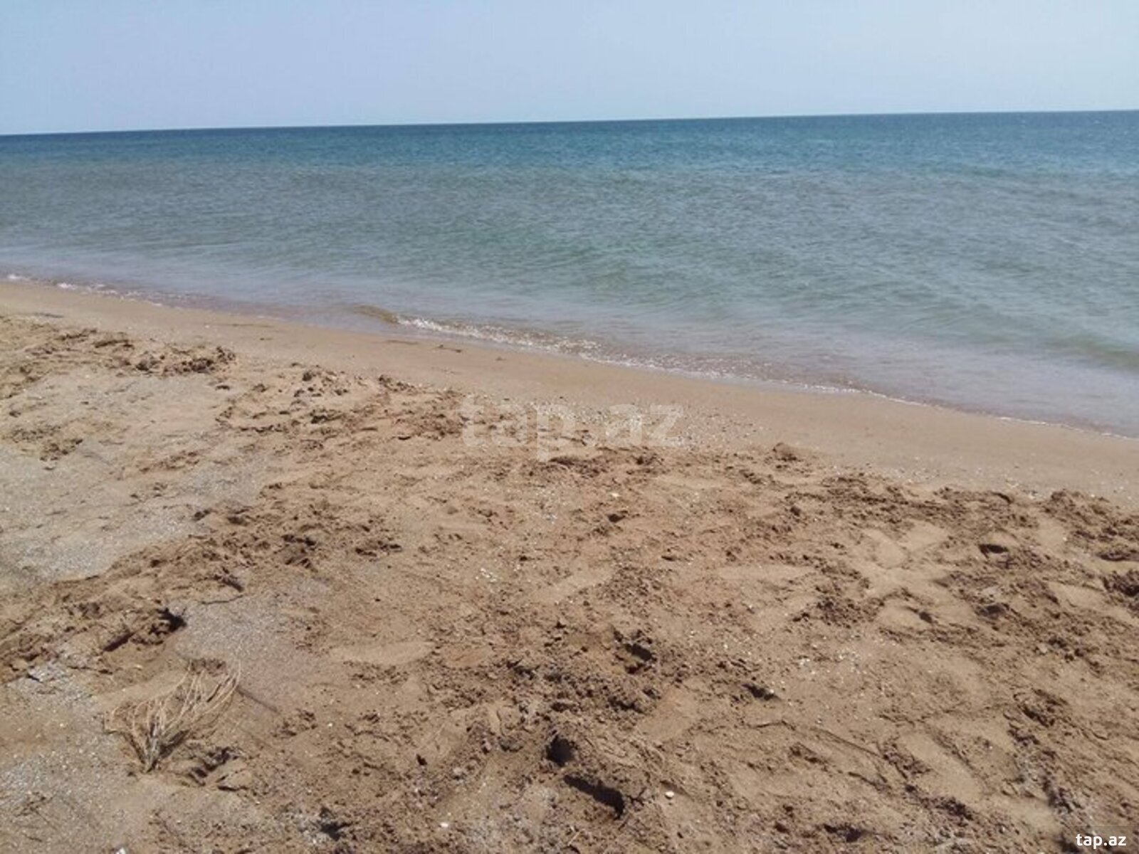 6 sot torpaq sahəsi, Zirə qəs. (8)