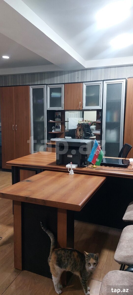 Obyekt icarəyə verilir, Süleyman Rüstəm küç 143 a