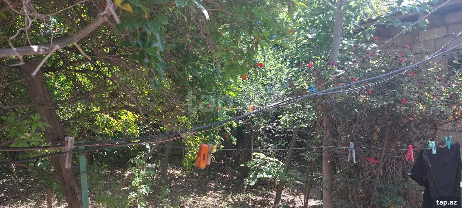 Həyət evi, Leyla Məmmədbəyova küç. (10)