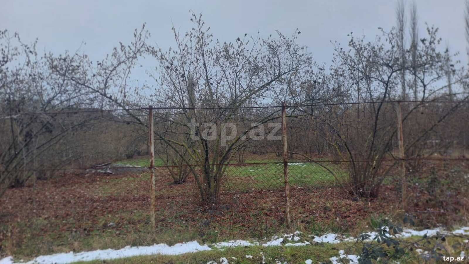 8 sot torpaq sahəsi, Xaçmaz r. (2)