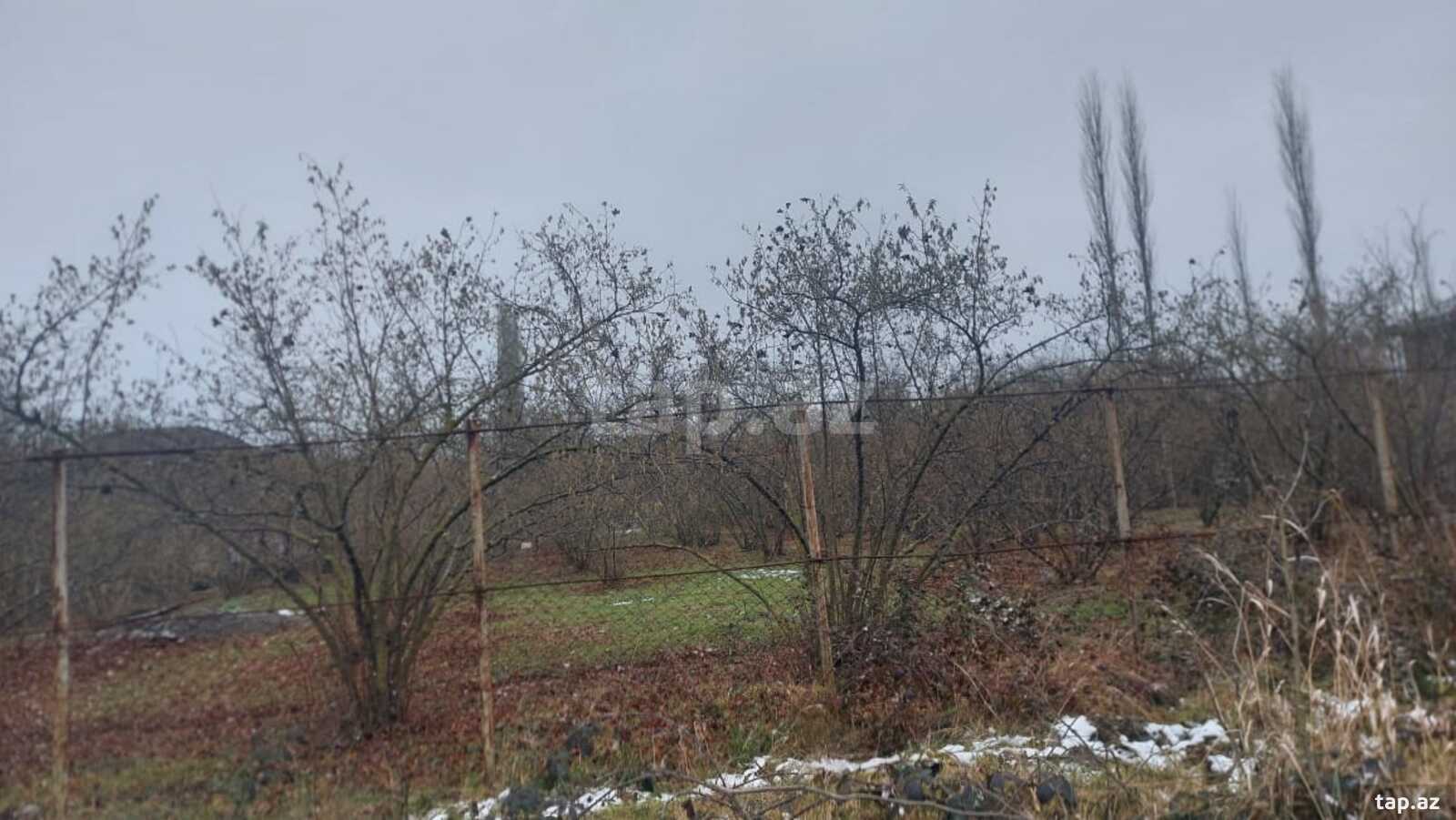 8 sot torpaq sahəsi, Xaçmaz r.