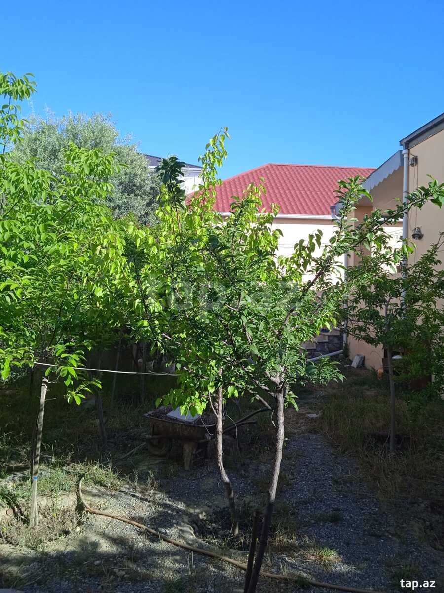 Bağ evi kirayə verilir, Mərdəkan qəs. (2)