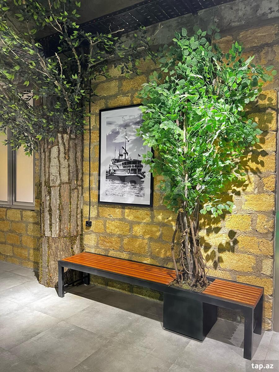 Ofis icarəyə verilir, 8 Noyabr pr. (8)