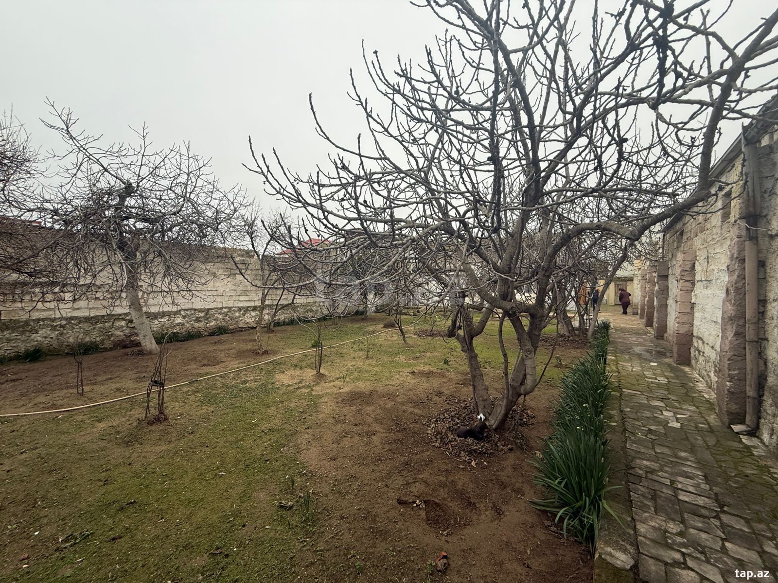8.5 sot torpaq sahəsi, Şüvəlan qəs.