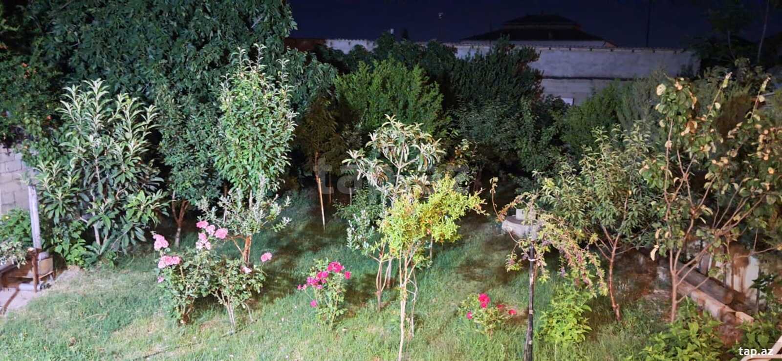 Həyət evi, Sabunçu r. (21)