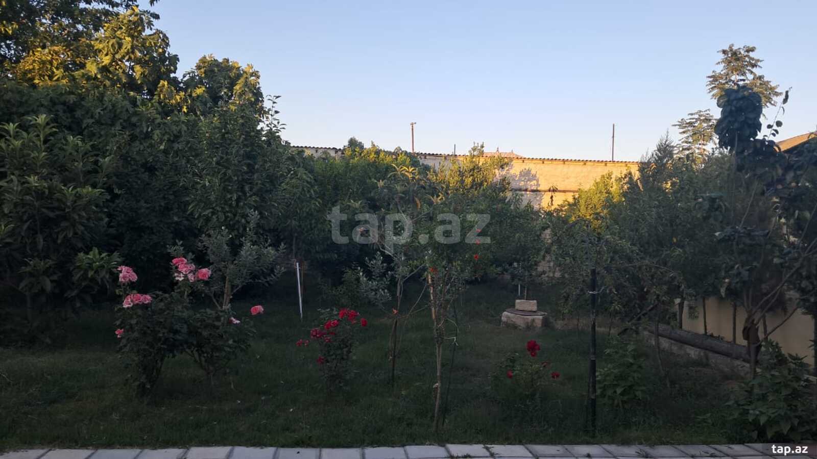 Həyət evi, Sabunçu r. (10)