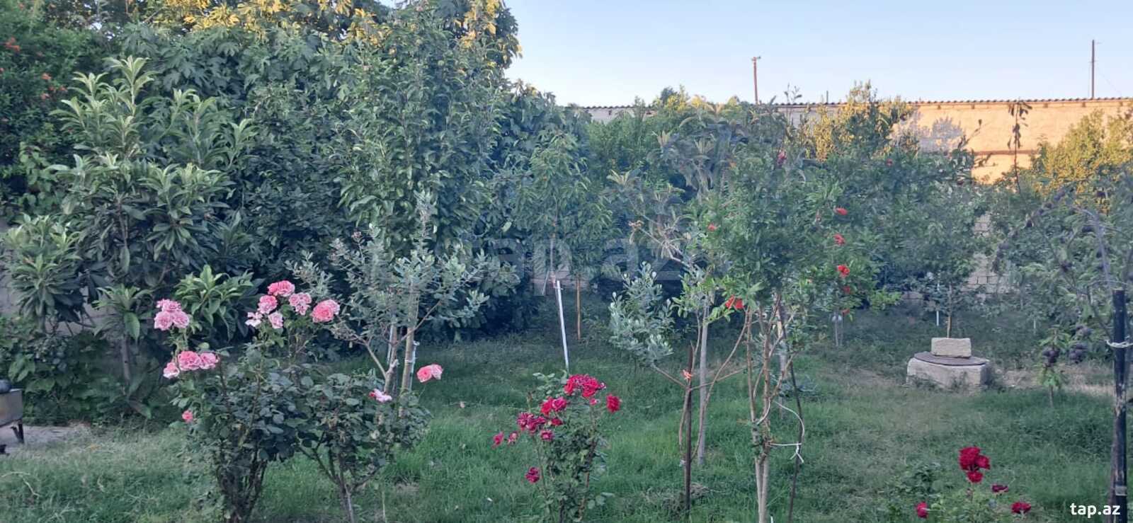 Həyət evi, Sabunçu r.