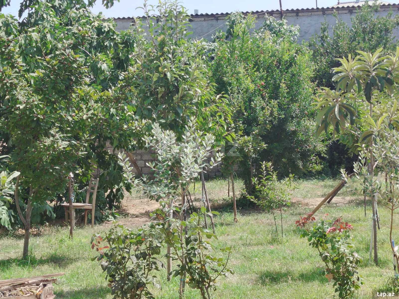 Həyət evi, Sabunçu r. (18)