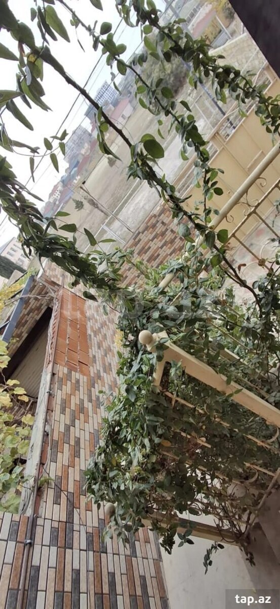 Həyət evi, Masazır qəs. (18)