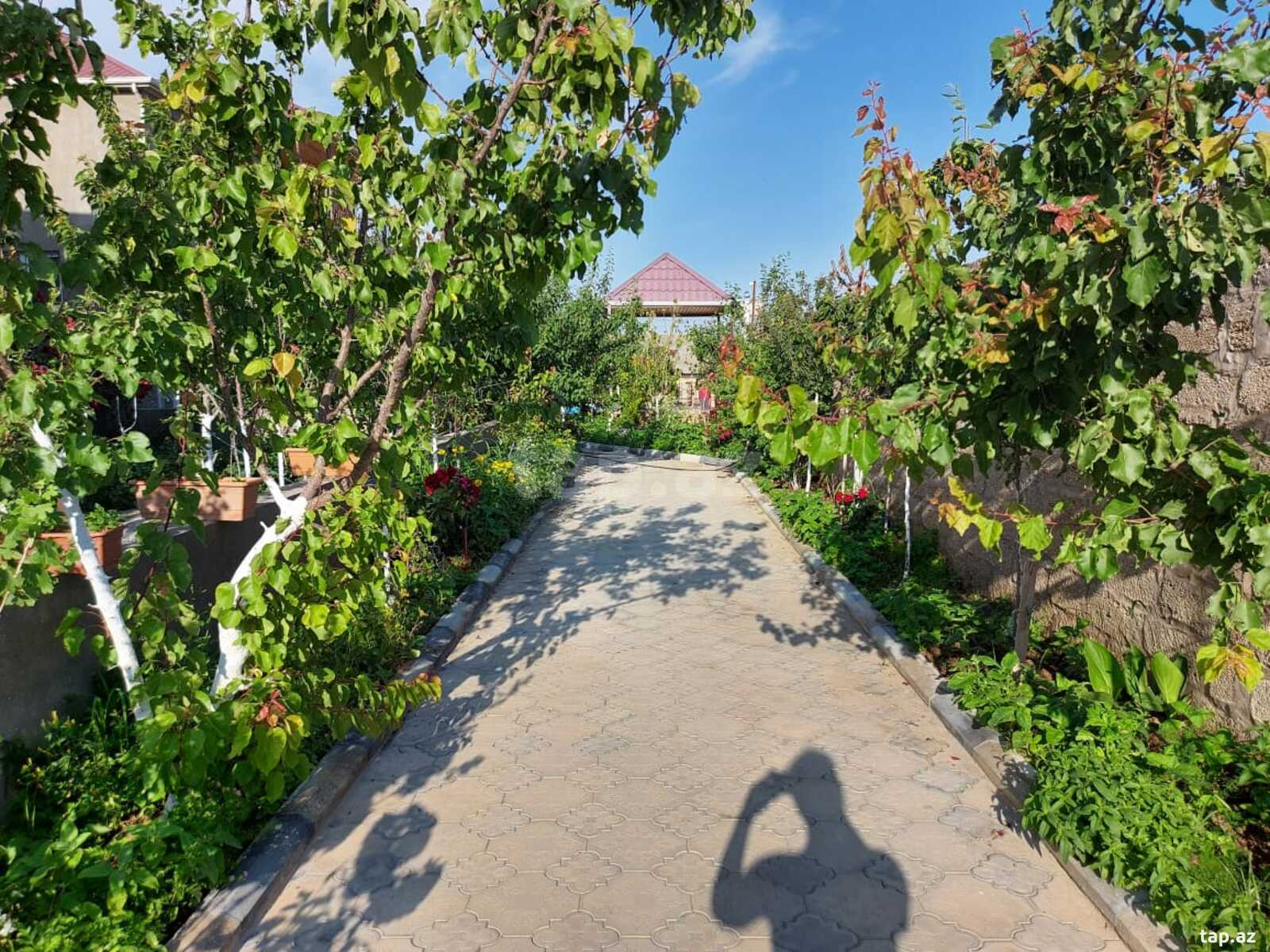 Bağ evi kirayə verilir, Türkan qəs. (12)