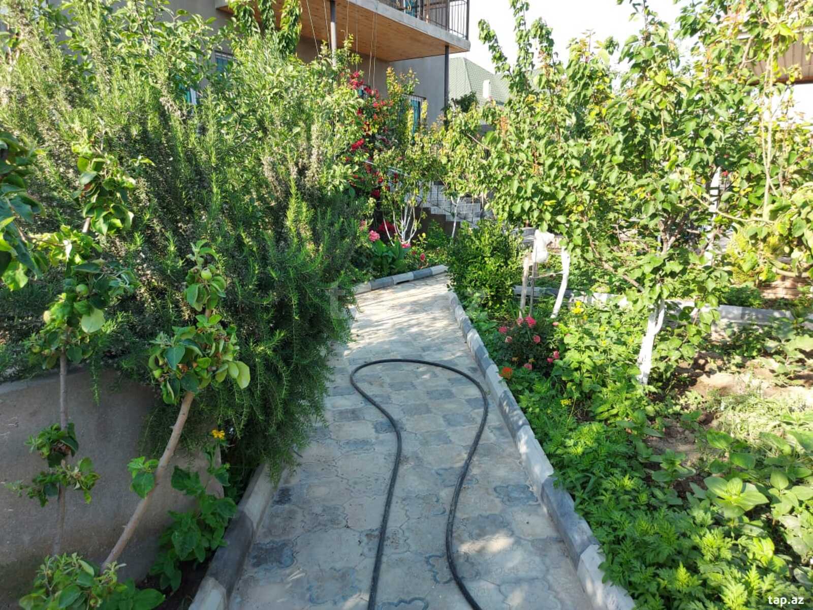 Bağ evi kirayə verilir, Türkan qəs. (11)