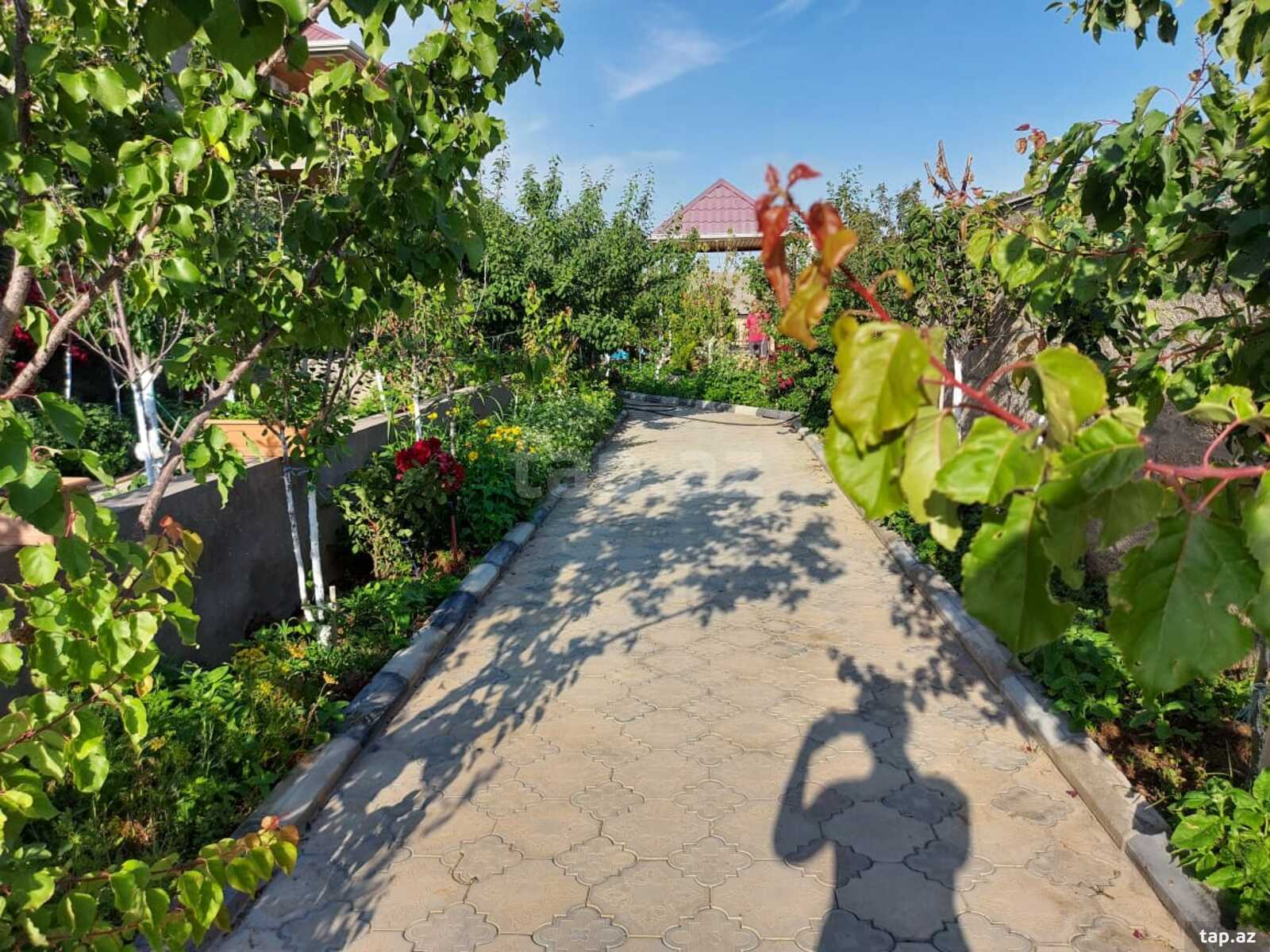 Bağ evi kirayə verilir, Türkan qəs. (17)