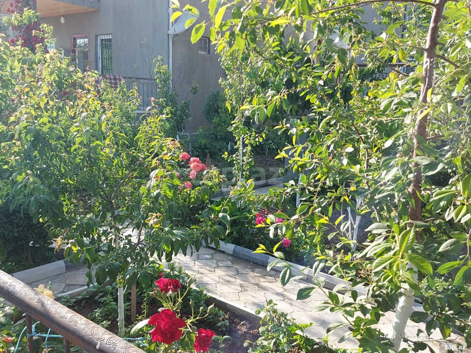 Bağ evi kirayə verilir, Türkan qəs. (24)