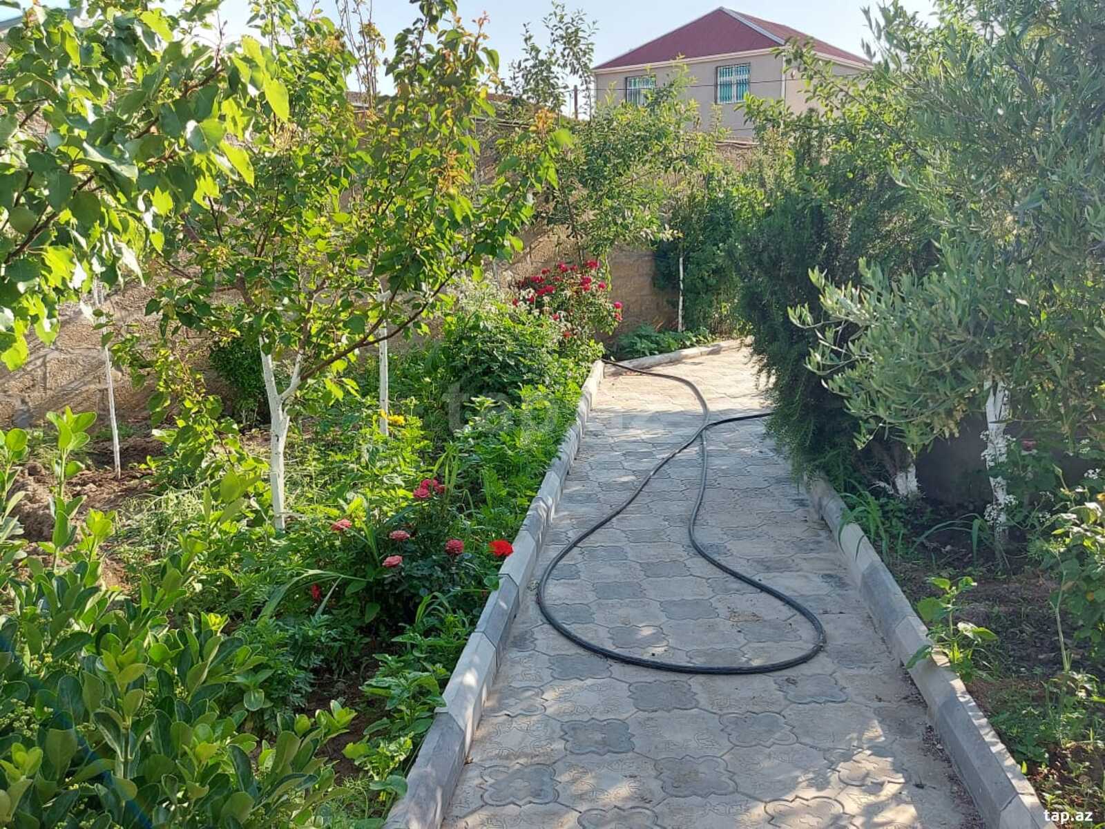 Bağ evi kirayə verilir, Türkan qəs. (30)