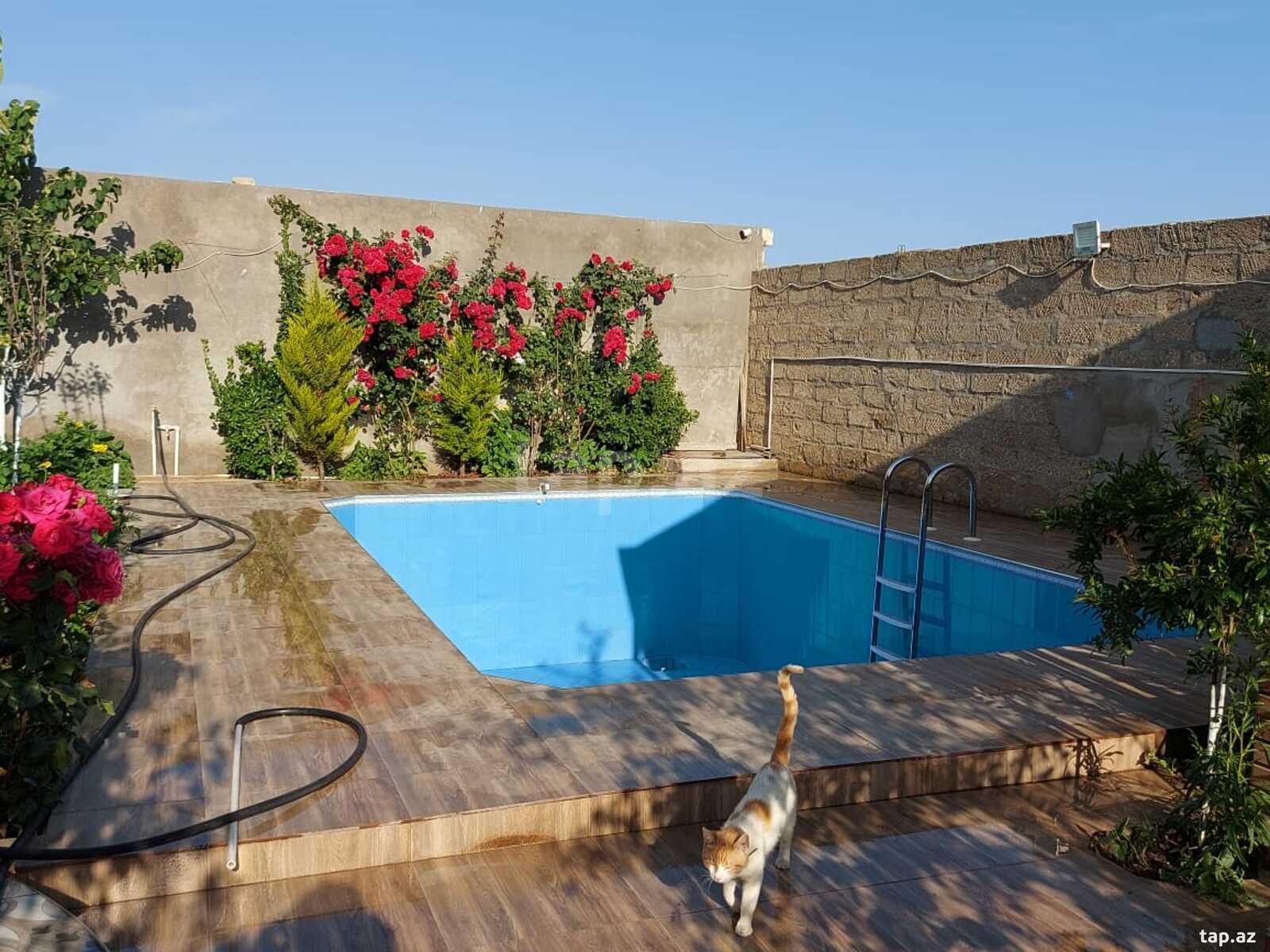 Bağ evi kirayə verilir, Türkan qəs. (10)