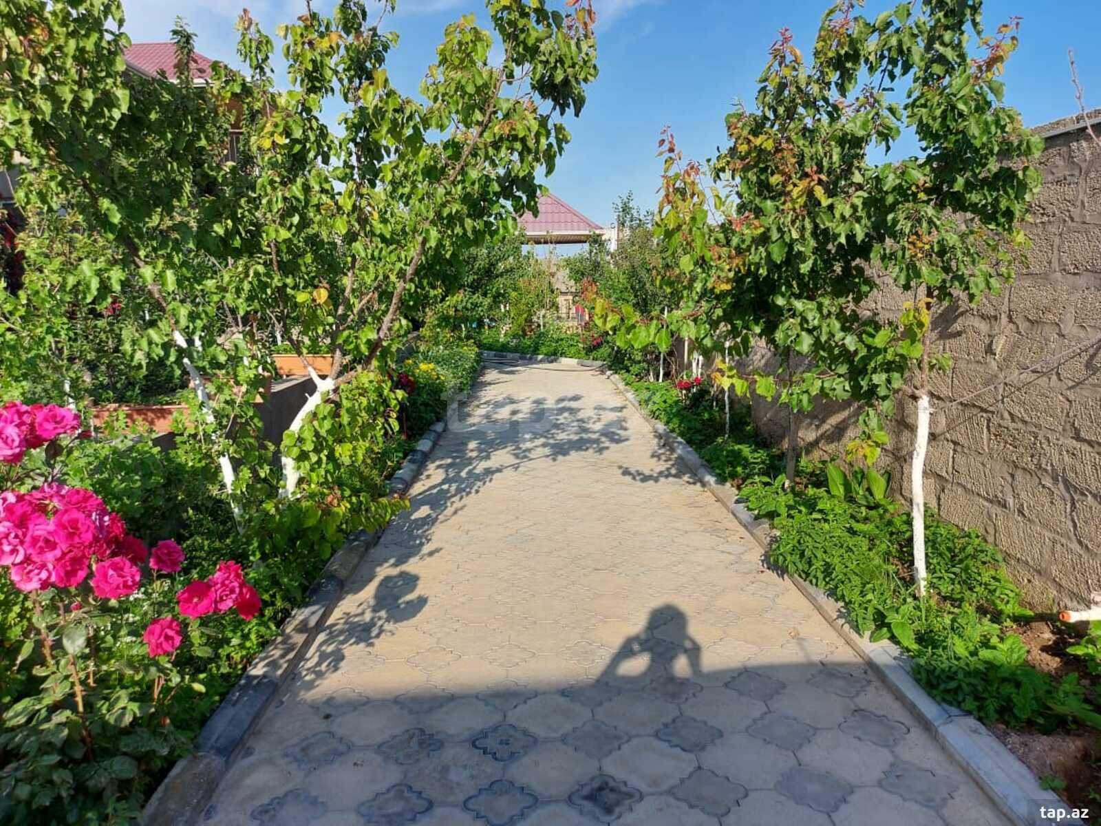 Bağ evi kirayə verilir, Türkan qəs. (20)