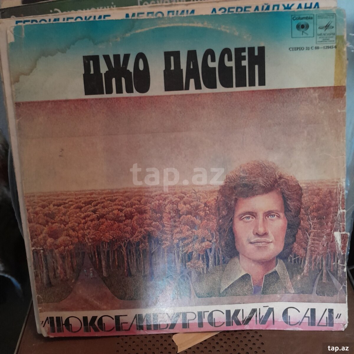 Vinil vallar  (7)