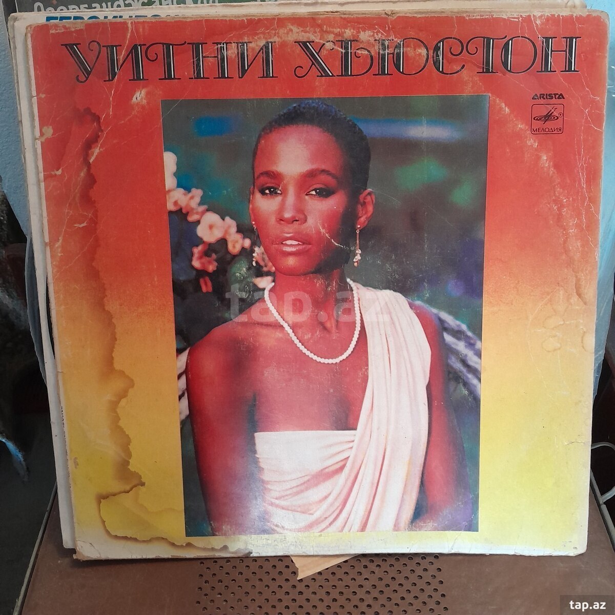 Vinil vallar  (13)