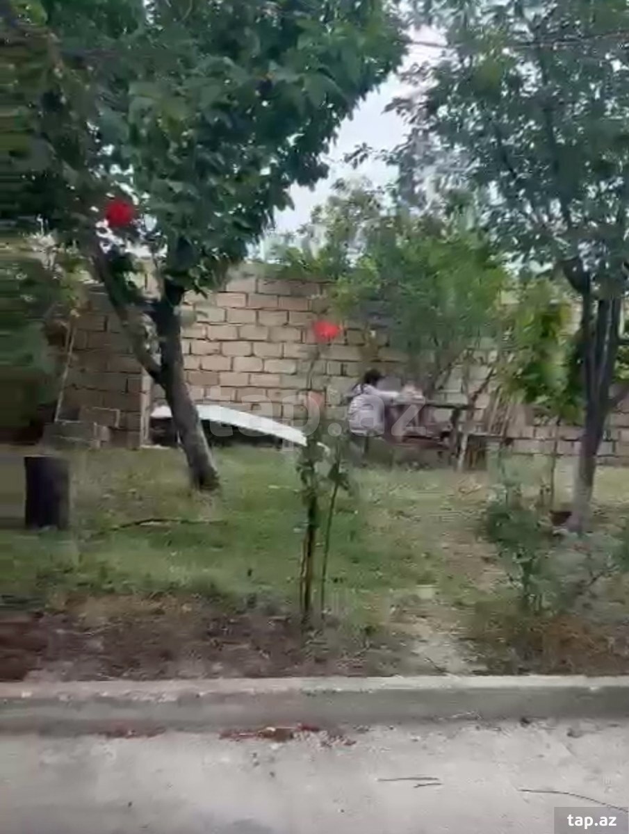 Həyət evi kirayə verilir, Zaur Həsənov 31 (10)