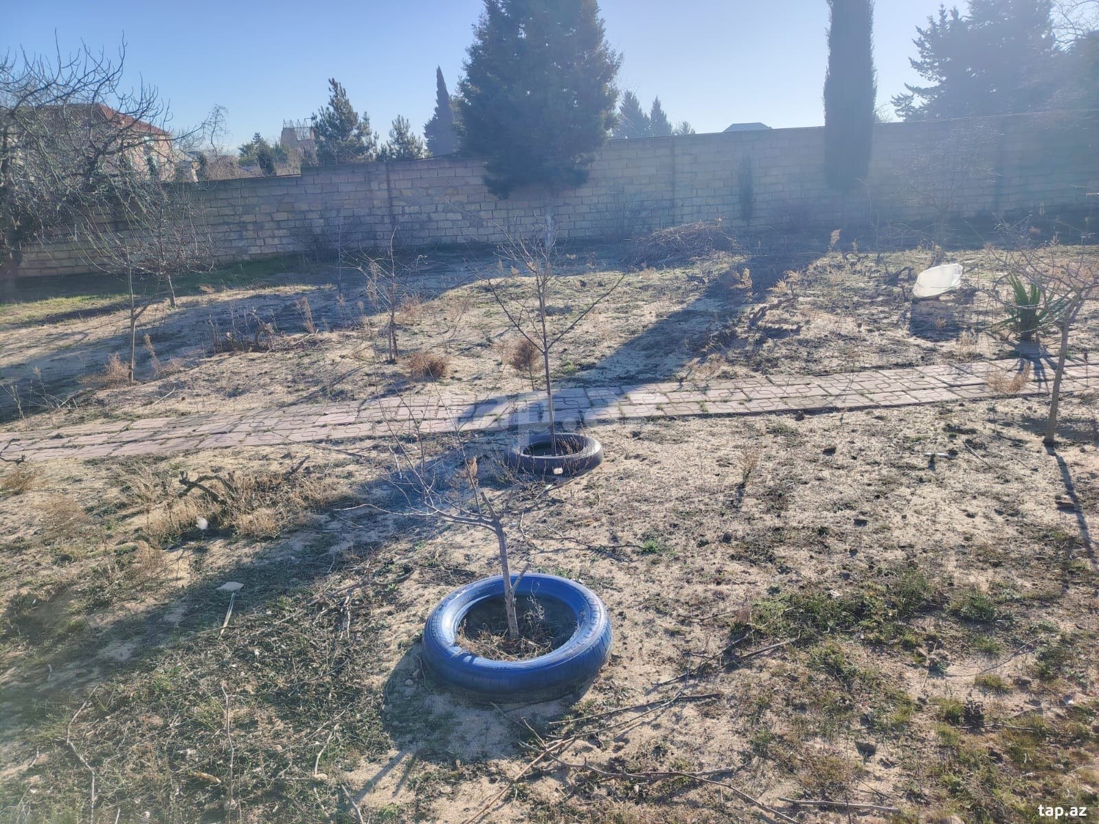 15 sot torpaq sahəsi, Görədil qəs.