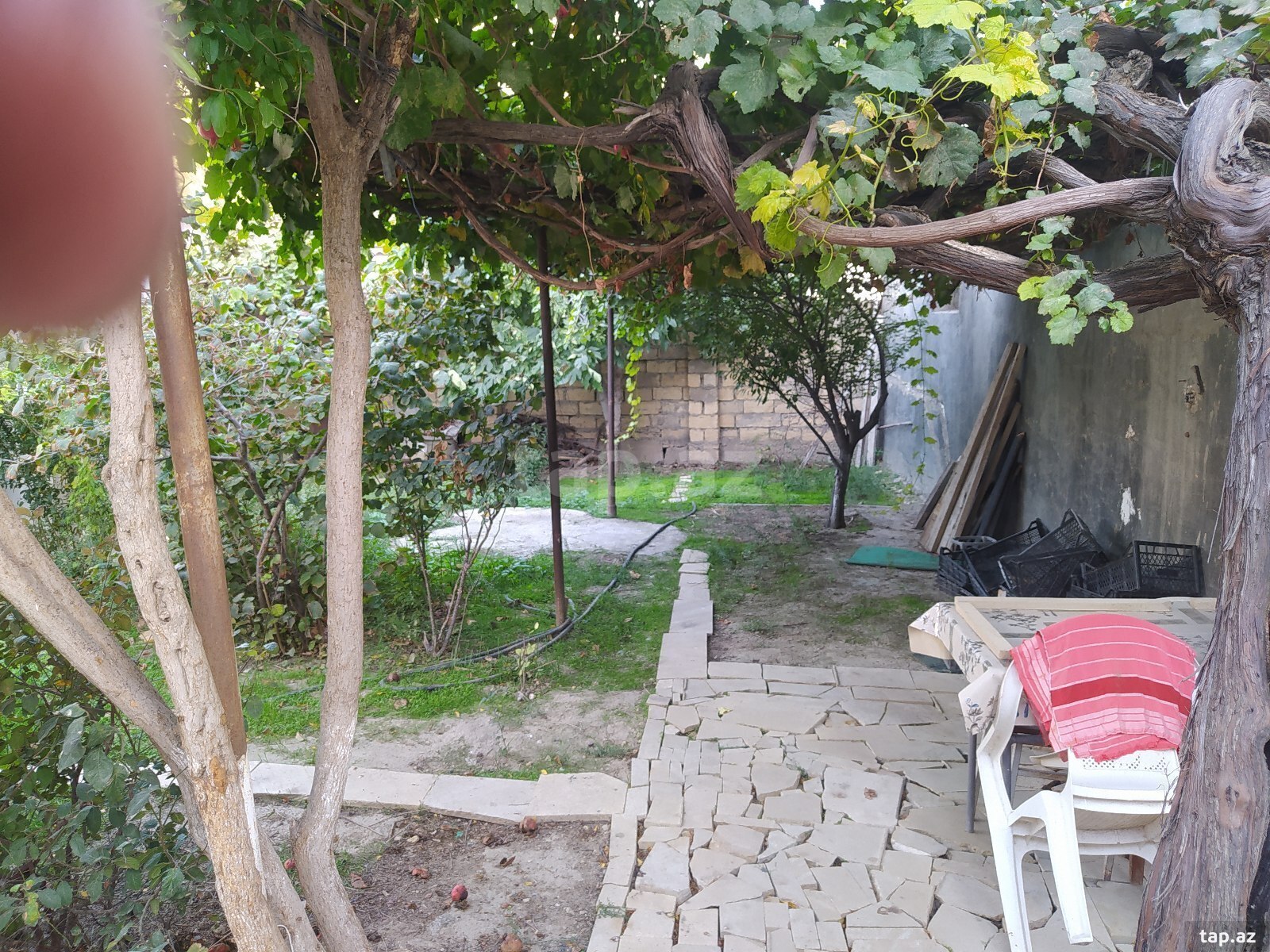 Həyət evi, M.Rəsulzadə qəs. (24)