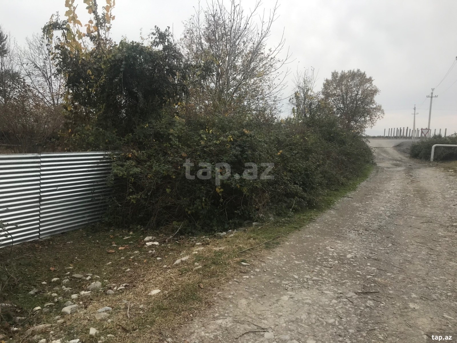 25 sot torpaq sahəsi, Oğuz r. (4)