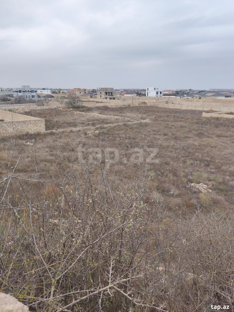12 sot torpaq sahəsi, Ləhic bağları (3)