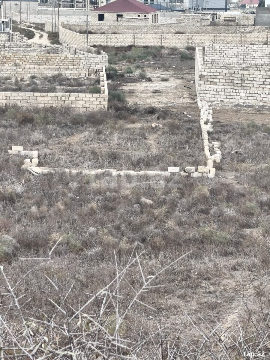 12 sot torpaq sahəsi, Ləhic bağları (2)