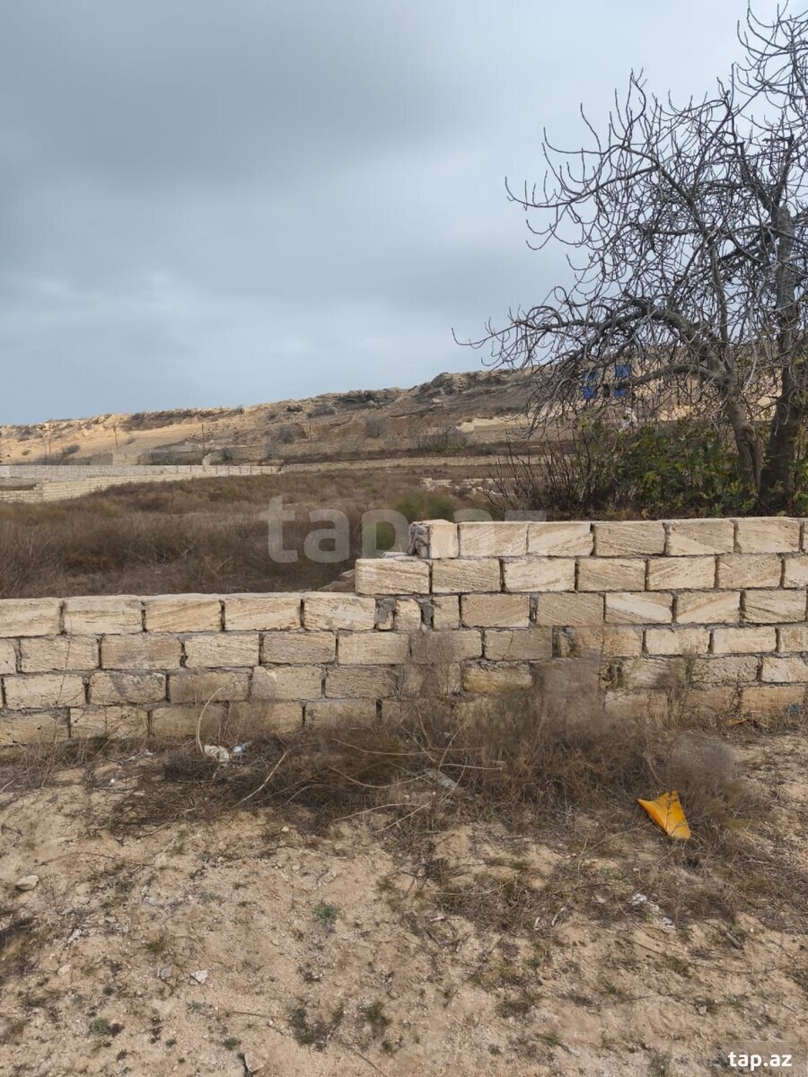 12 sot torpaq sahəsi, Ləhic bağları