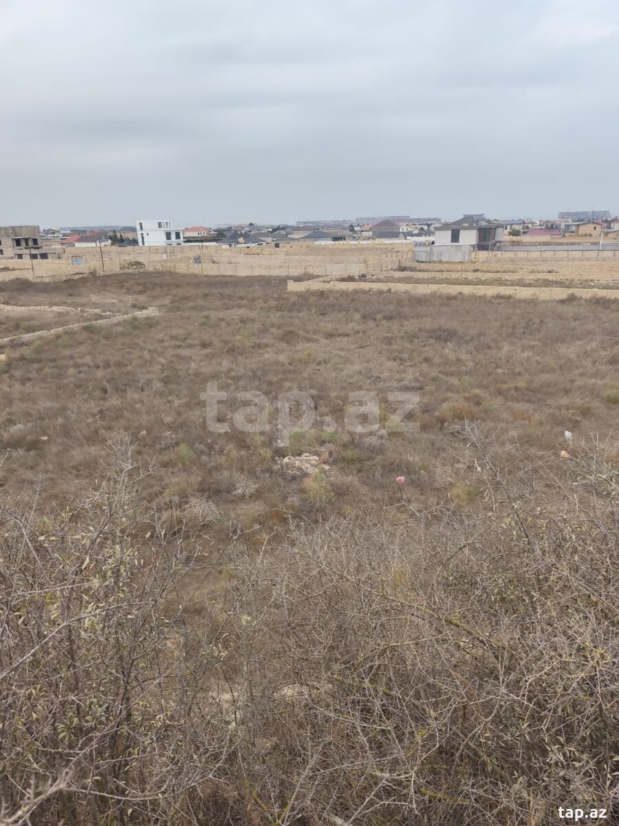 12 sot torpaq sahəsi, Ləhic bağları (8)