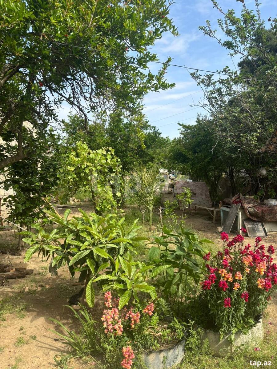 9 sot torpaq sahəsi, Bakıxanov qəs. (7)