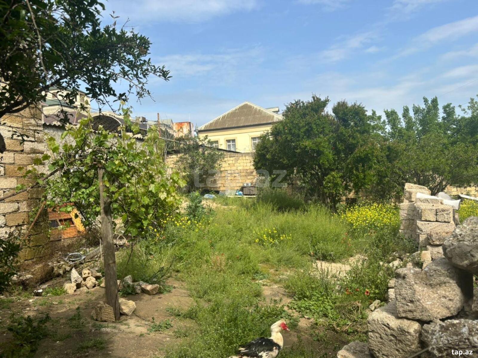 9 sot torpaq sahəsi, Bakıxanov qəs. (2)