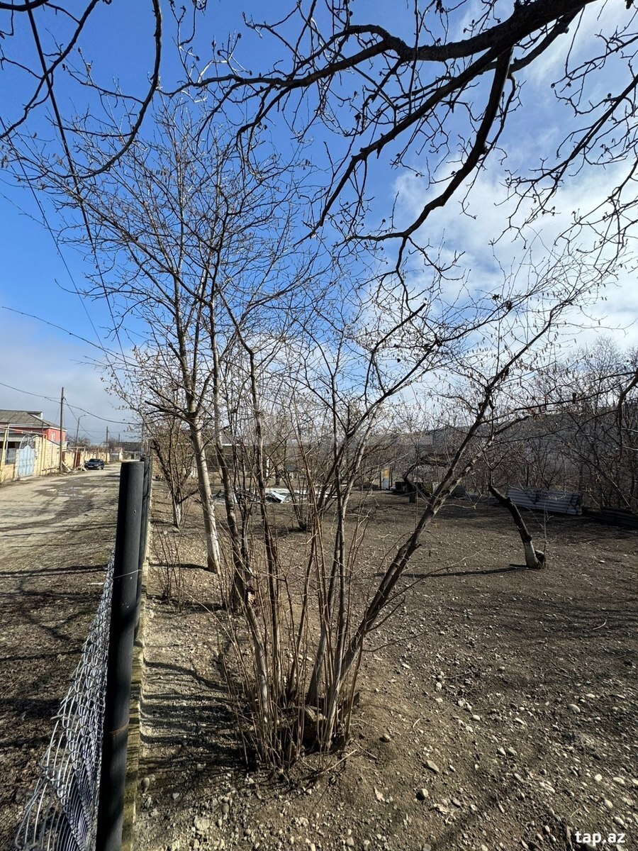 3 sot torpaq sahəsi, Qusar r.