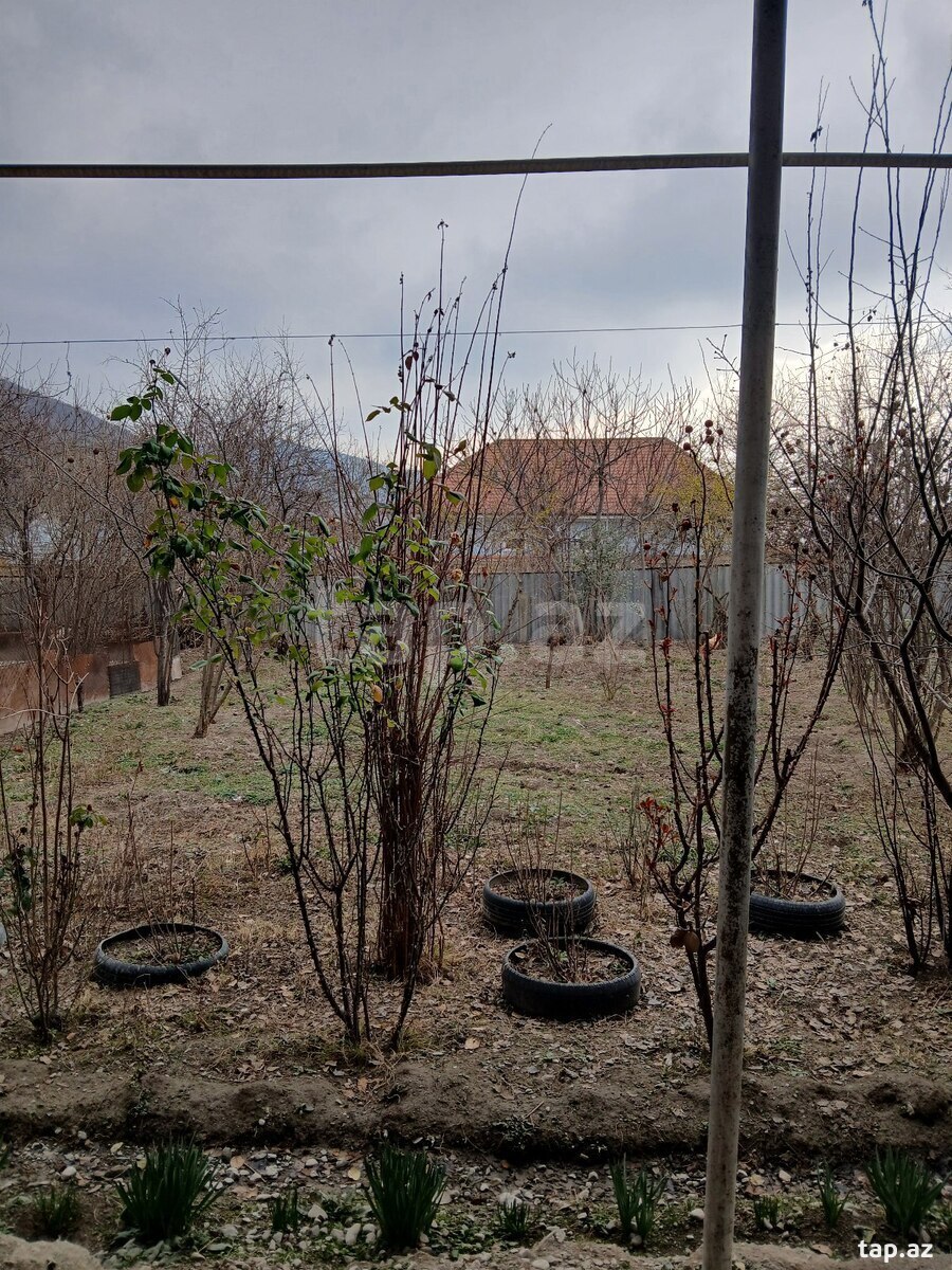5 sot torpaq sahəsi, Şəki ş. (3)