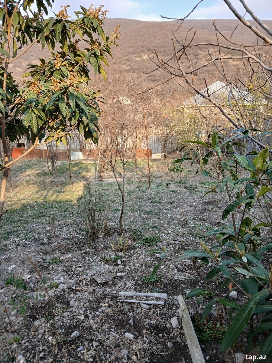 5 sot torpaq sahəsi, Şəki ş. (2)