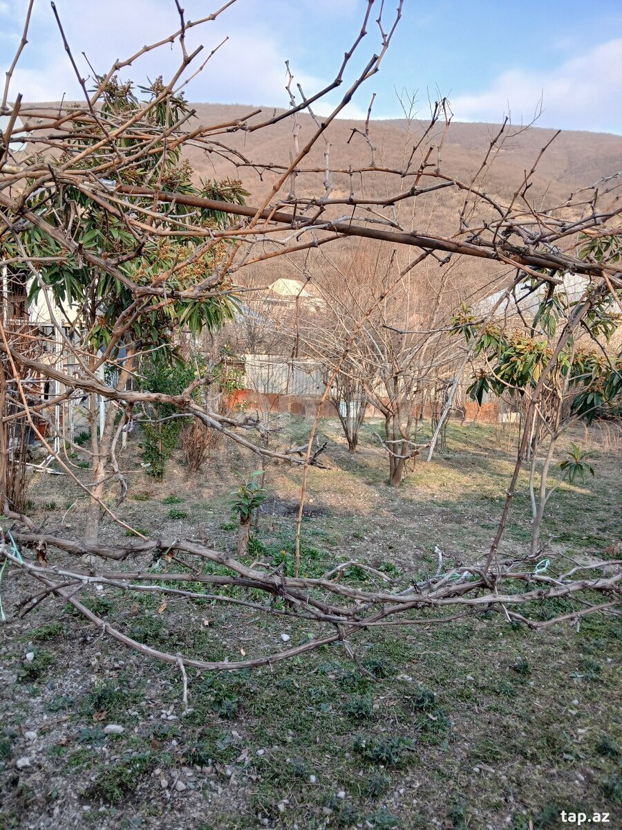 5 sot torpaq sahəsi, Şəki ş. (5)