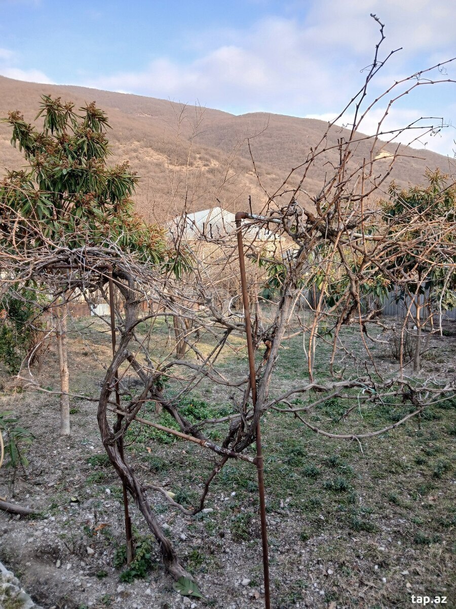 5 sot torpaq sahəsi, Şəki ş. (6)
