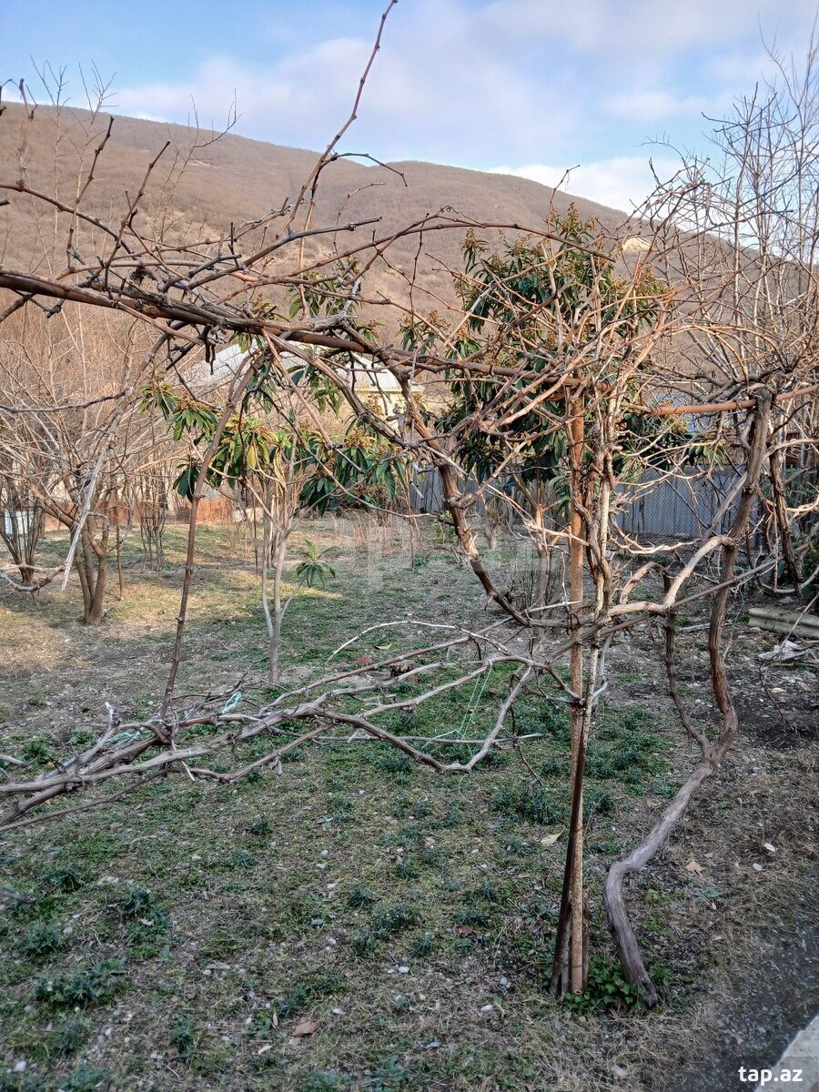 5 sot torpaq sahəsi, Şəki ş. (7)