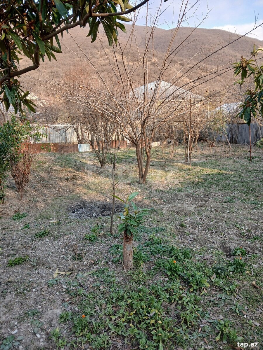 5 sot torpaq sahəsi, Şəki ş. (8)