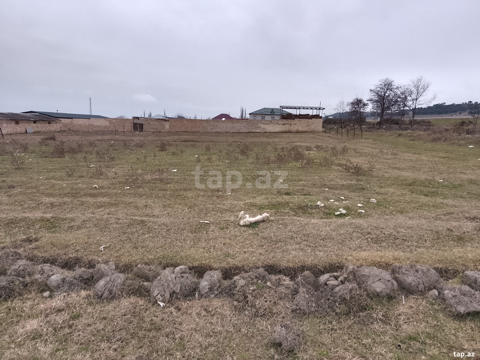850 sot torpaq sahəsi, Şabran r. (2)