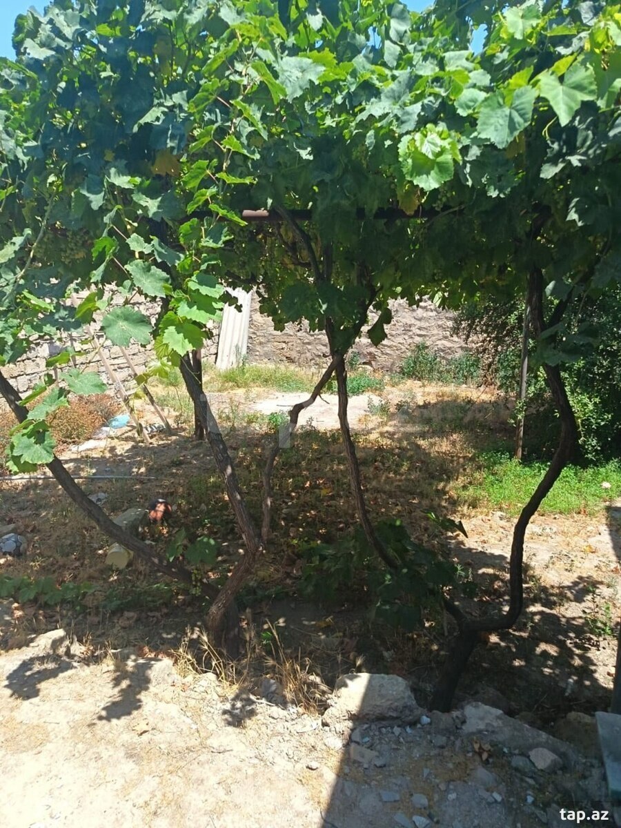 4 otaqlı həyət evi satılır, Buzovna, Bakı